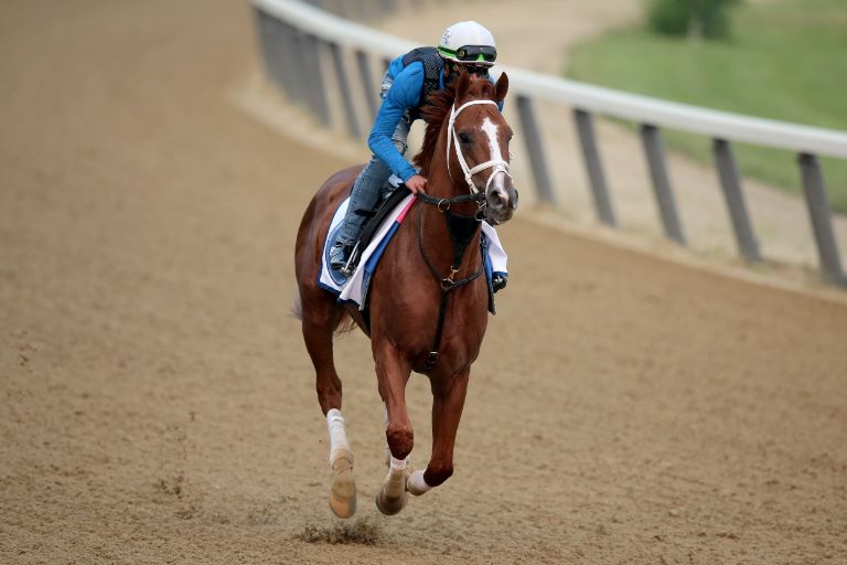 Belmont Stakes contender Tapit Shoes trains on the main track during morning workouts at Belmont Park.